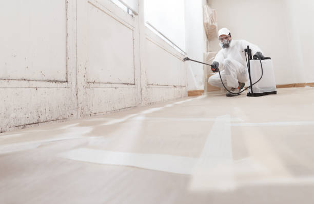 24/7 Emergency Basement Mold Removal experts in Northbrook, IL